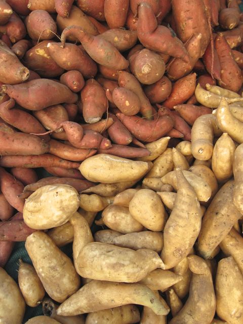 sweet potatoes