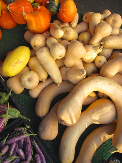 butternut squash