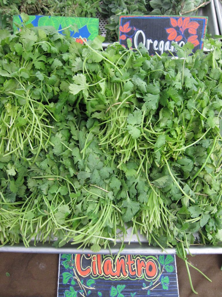 cilantro at the farmers market