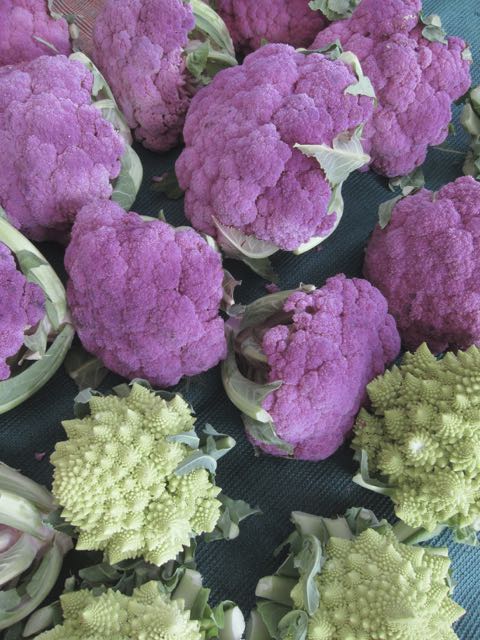 purple cauliflower