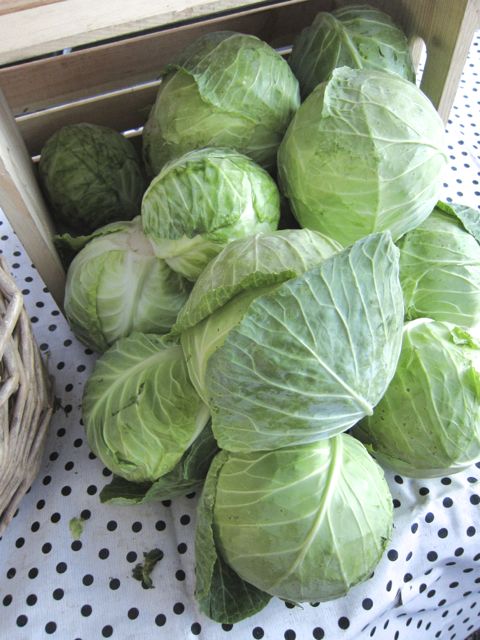 green cabbage