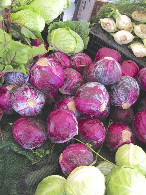 red and green cabbage