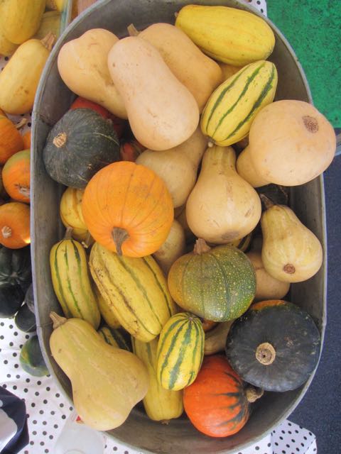 baby winter squash
