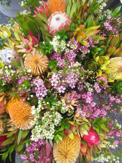 exotic flowers