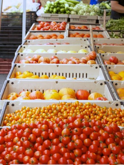 mini tomatoes