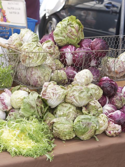 cabbage