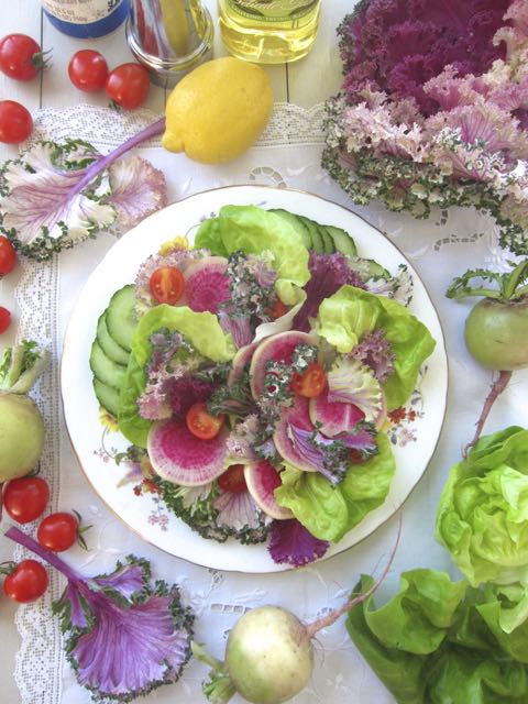 watermelon radish salad