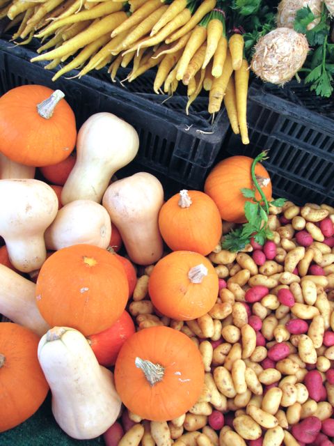 pumpkins butternut