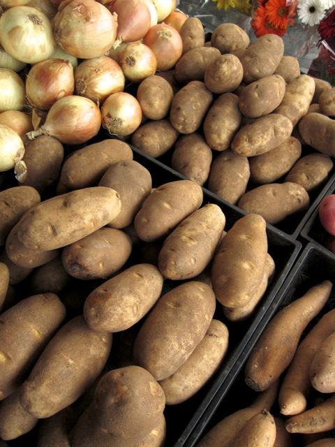 russets