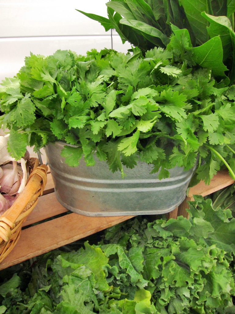 cilantro at the farmers market