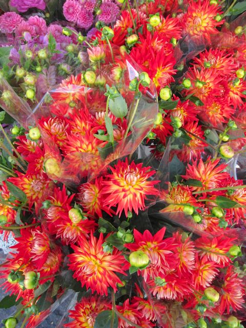 red flowers