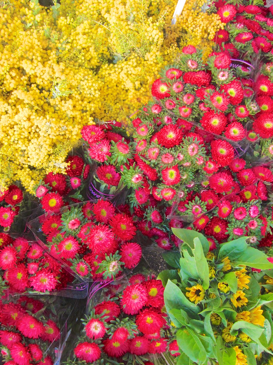 red flowers