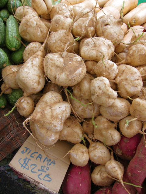 jicama