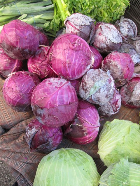 red cabbage at the farmers market