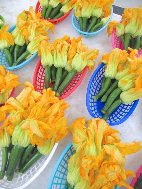 zucchini blossoms