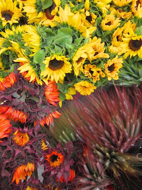 summer flowers