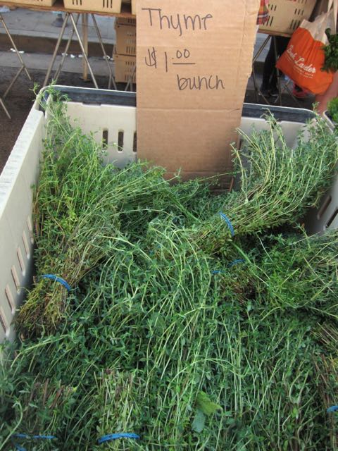 thyme