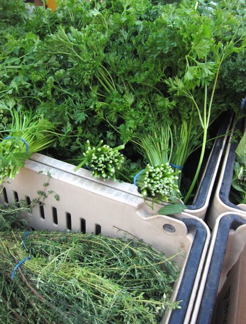 parsley