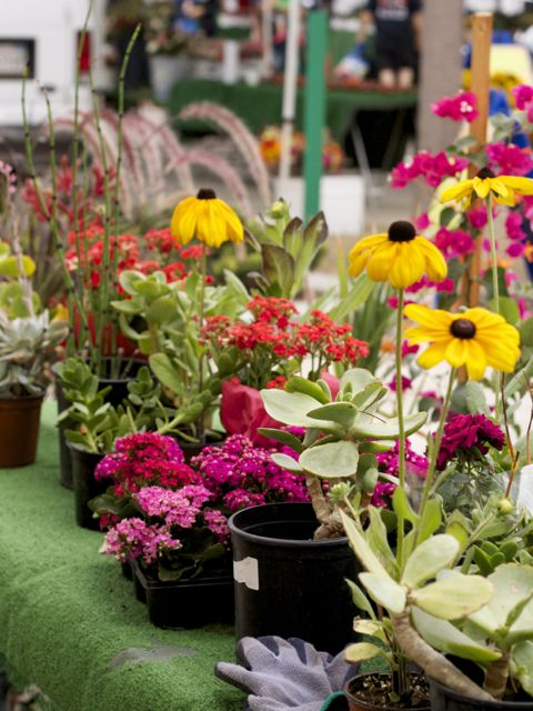 flowers on table at Farmers Market
