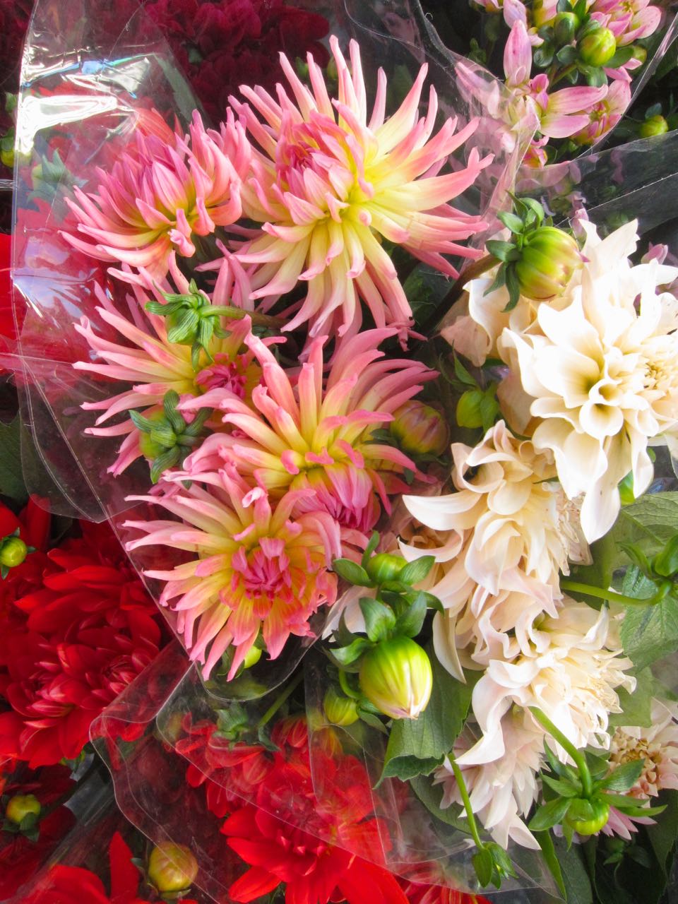 flowers at farmers market
