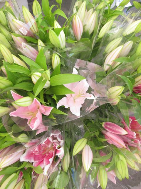 lilies at farmers market