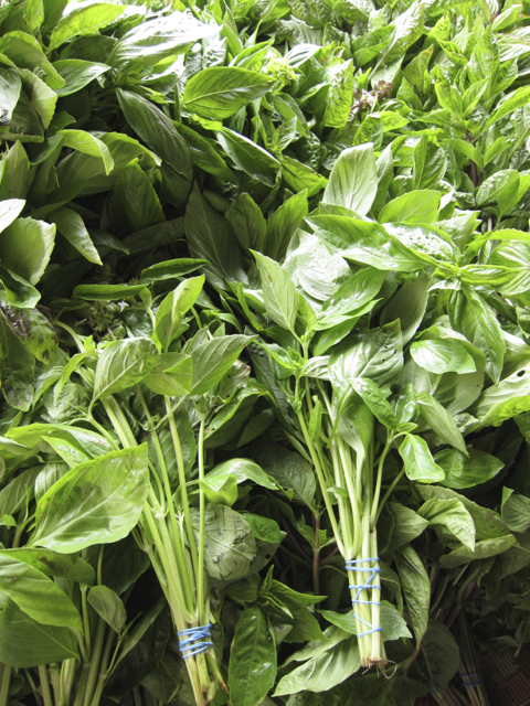 basil