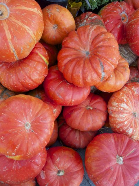 large decorative pumpkin