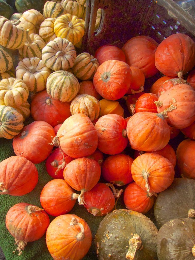 pumpkins at farmers market