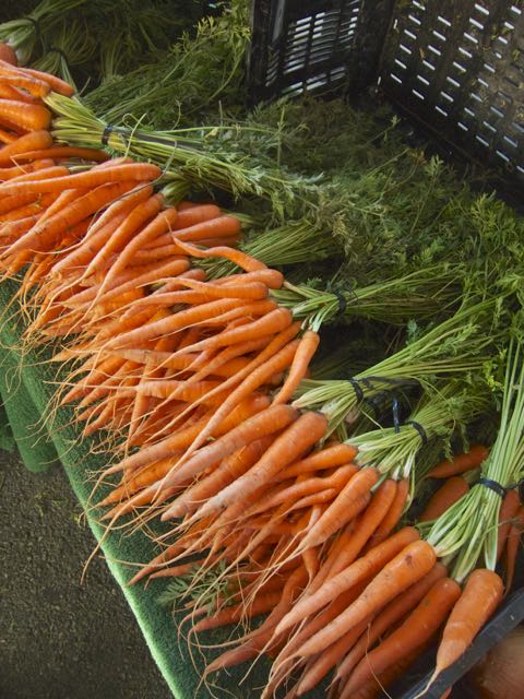 carrots