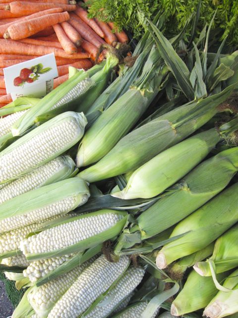 corn15