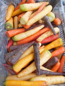 multi carrots at the farmers market