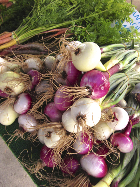 swt onion13