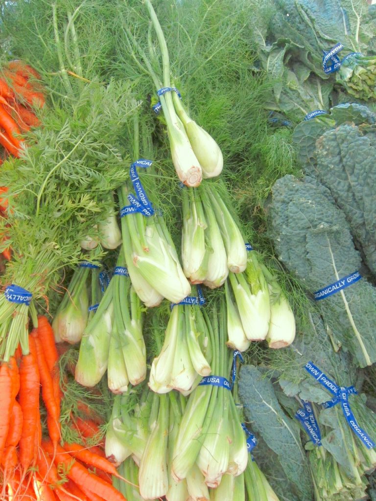 fennel at the farmers market