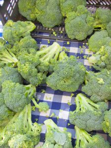 broccoli at the farmers market