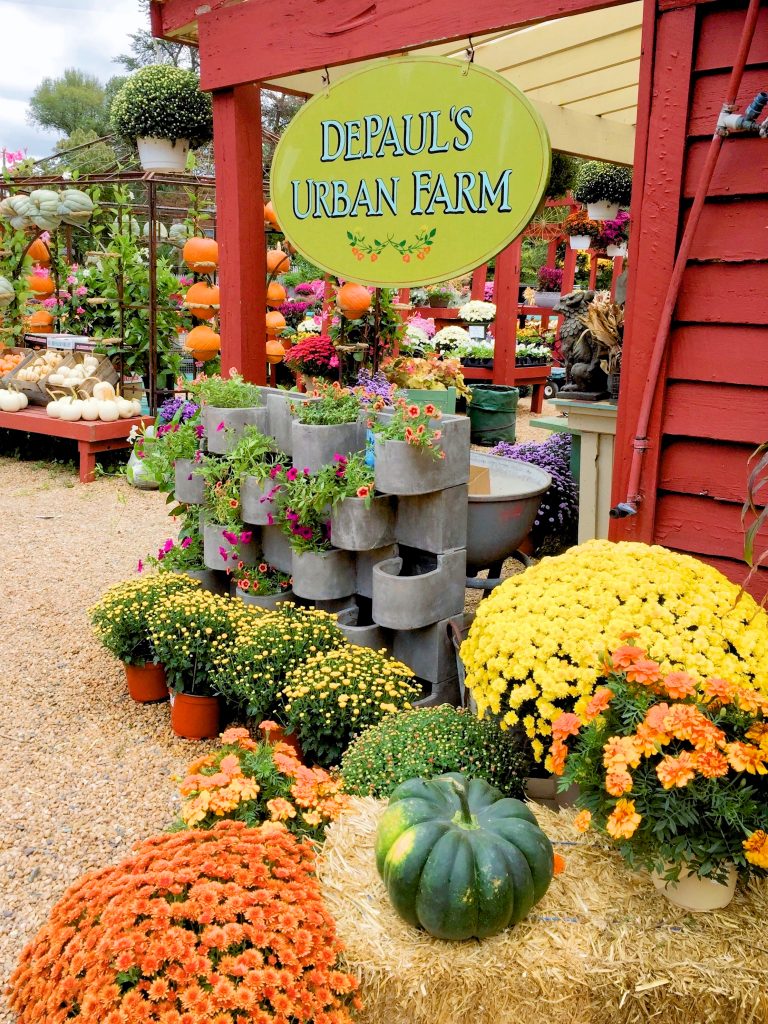 Depaul's Urban Farm sign on building