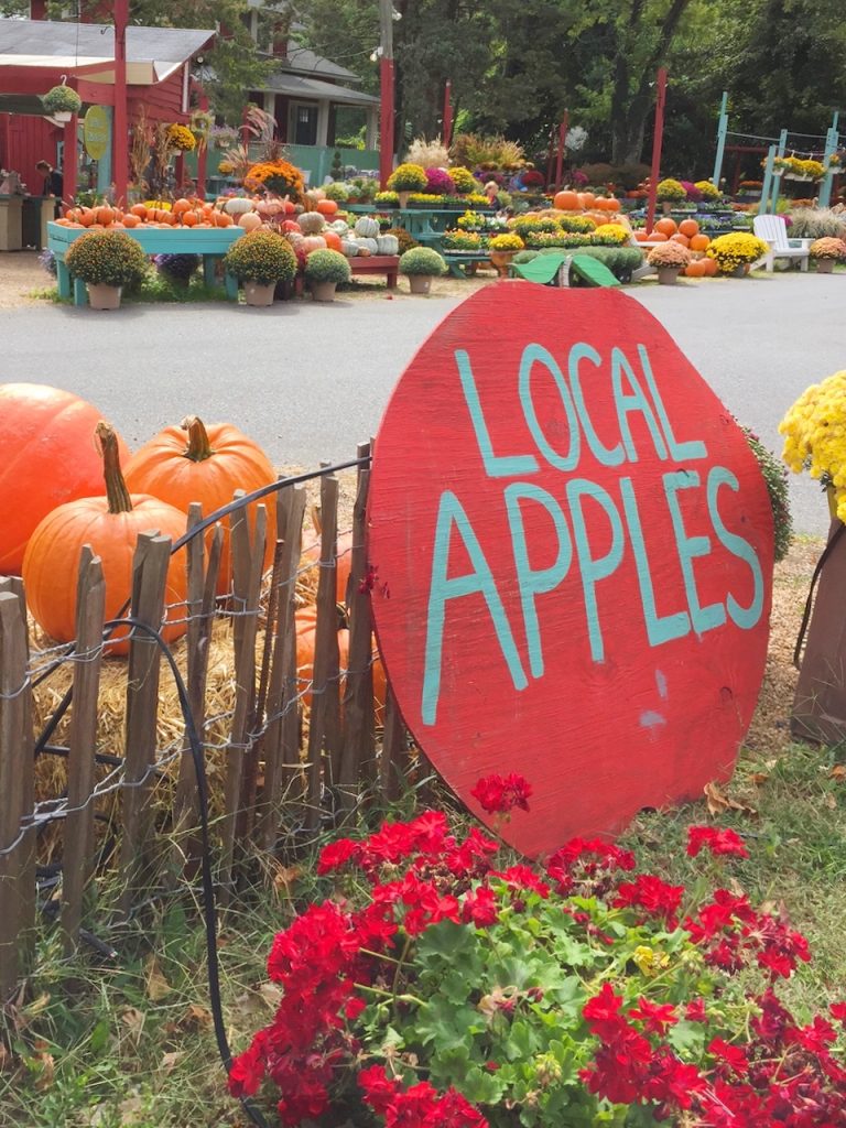 apple's sign Depaul's Urban Farm