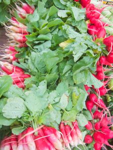 radishes at farmers market