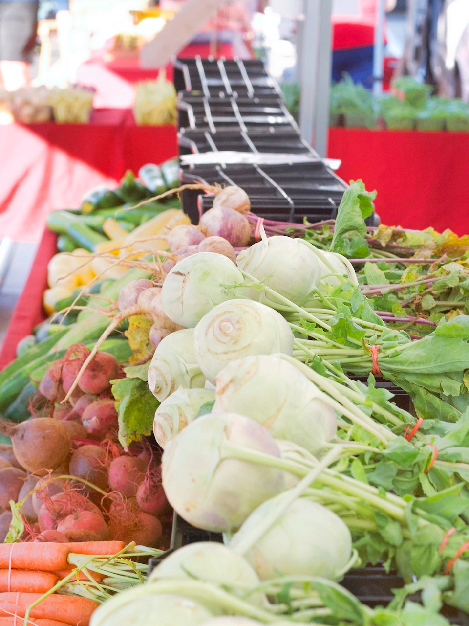 Roasted Kohlrabi and Radishes Dolly’s Kettle