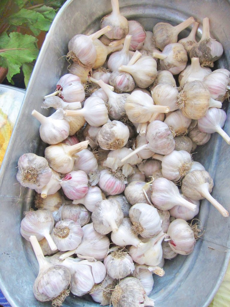 garlic at the farmers market