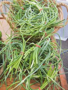 scapes in a round basket