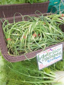 scapes in a square basket