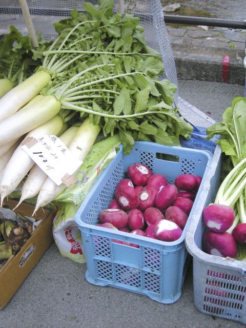daikon and rose turnips