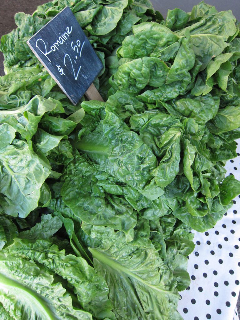 romaine at farmers market