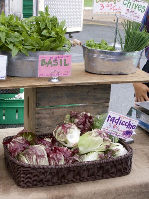 radicchio