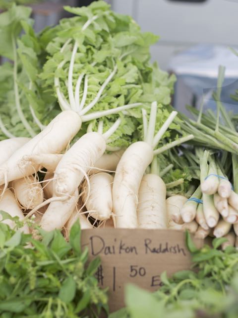 white daikon