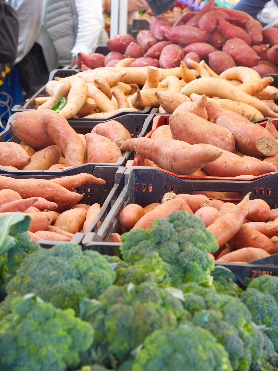 Roasted Sweet Potato, Turnip, Carrot and Radishes Dolly’s Kettle