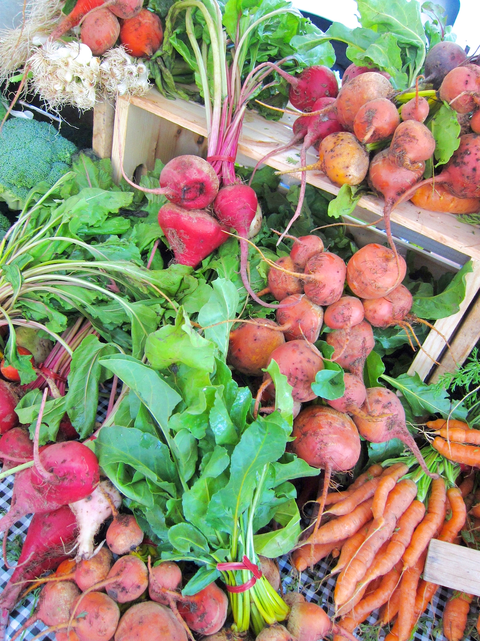 Roasted Beets, Parsnips, Carrots and Radish Dolly’s Kettle
