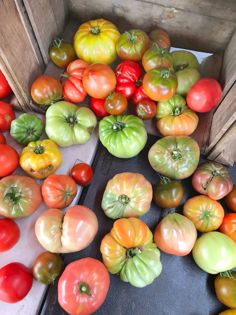 tomatoes at farmers market