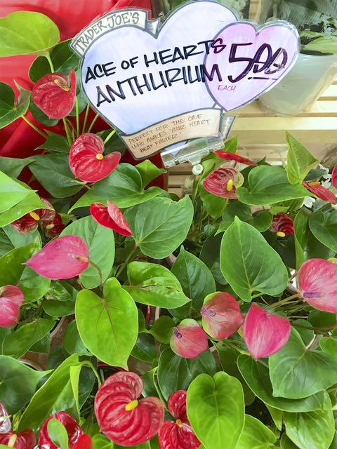 Valentine flowers