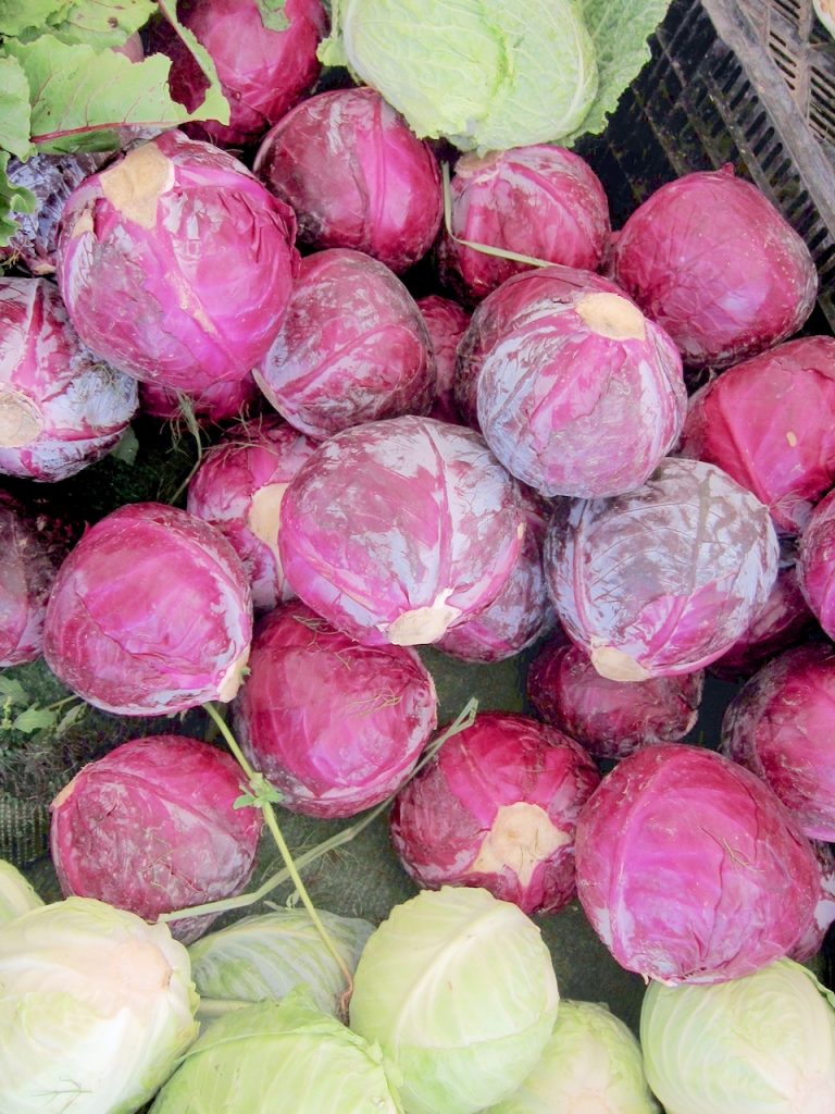 cabbage at farmers market